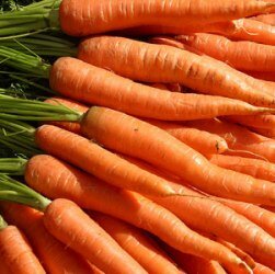 морковн